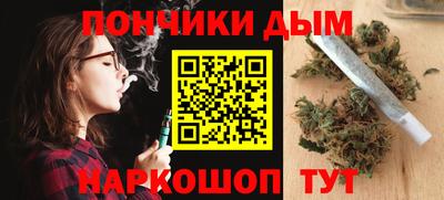 сатива Лесосибирск