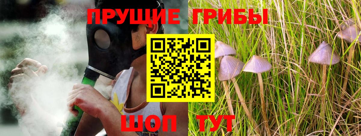 Жигулёвск  Псилоцибиновые грибы Cubensis  Псилоцибиновые грибы Cubensis  Вход с VPN 