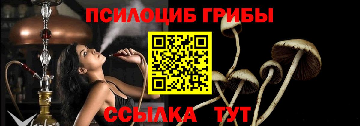 Галлюциногенные грибы ЛСД Жигулёвск